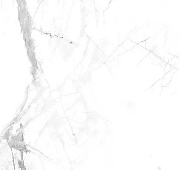 Vilo SPC Tile Calacatta Snow – 60cm x 30cm