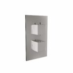Twin Square Handle, 2 Outlet Concealed Valve with Diverter