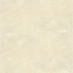 Inspiro Shine