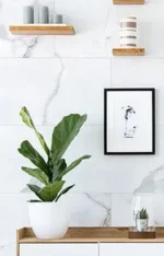 Inspiro Spring - Image 2