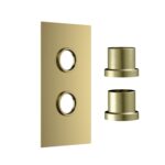 Concealed Plate with Sleeves (2 Outlet)