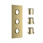 Concealed Plate with Sleeves (3 Outlet) Brushed