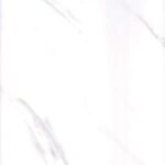 CARRERA WHITE