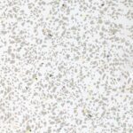 WHITE SPARKLE
